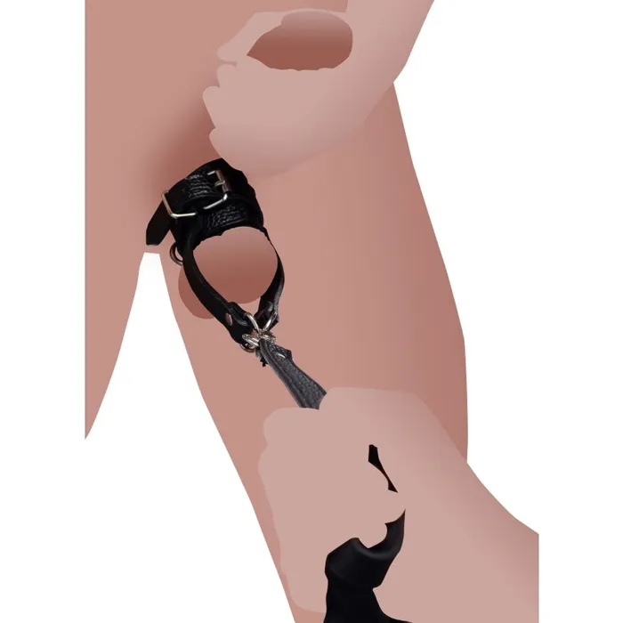 Ball Stretcher With Leash | XR Brands Strict Male Sex Toys Ball Stretcher With Leash | XR Brands Strict Male Sex Toys