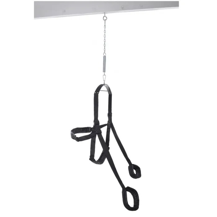 Fantasy Swing - Black | Pipedream Anal Fantasy Swing - Black | Pipedream Anal