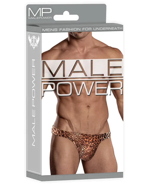 Male Power Lingerie Male Sex Toys | Men's Male Power Male Power Wonder Thong Animal Print