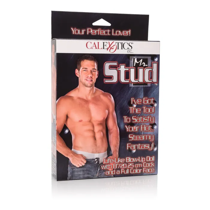 Male Sex Toys CalExotics Mr Stud Love Doll