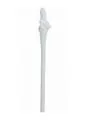 SLine Dildos SLine The Dickheads Bride Straws