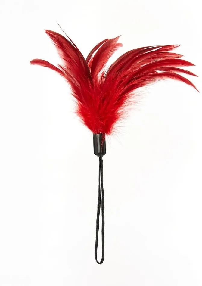 Sportsheets Pleasure Feather Sportsheets Vibrators
