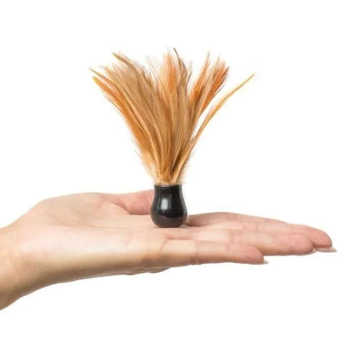 Kama Sutra Vibrators Honey Dust Box Raspberry 28g