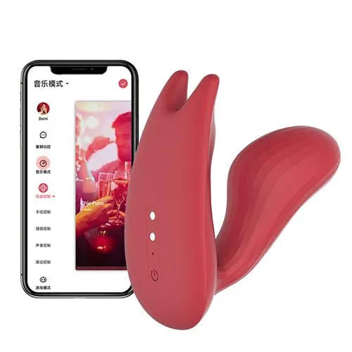 3ZToyBox Vibrators APP Controlled Couple Vibrator