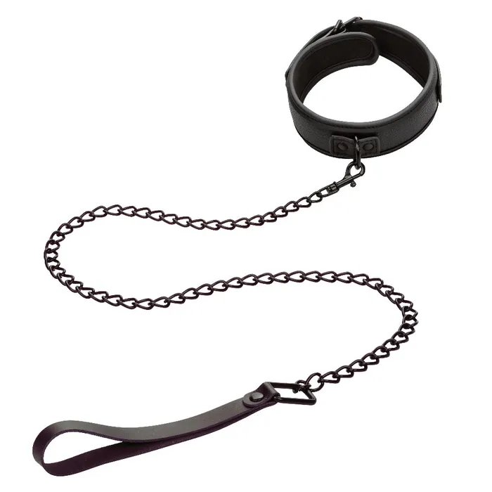 Anal CalExotics Nocturnal Collection Collar and Leash Black Anal CalExotics Nocturnal Collection Collar and Leash Black