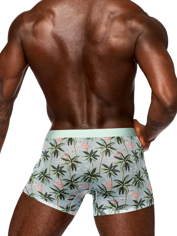 Hosiery Male Power Sheer Prints Seamless Sheer Short Medium Flamingo Hosiery Male Power Sheer Prints Seamless Sheer Short Medium Flamingo