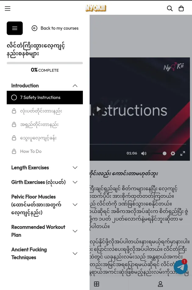 NyoKii Vibrators 