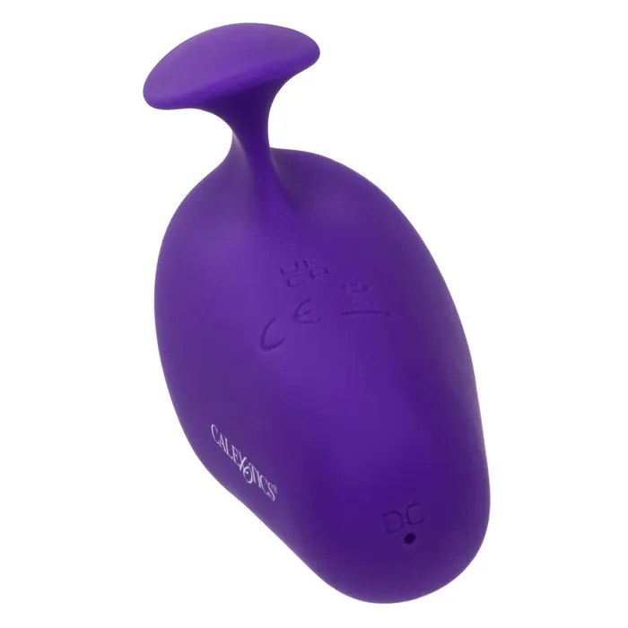Vibrators CalExotics Neon Vibes the Kissing Vibe Purple Vibrators CalExotics Neon Vibes the Kissing Vibe Purple