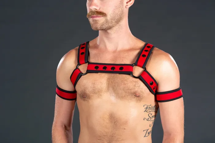 Mr S Leather Female Sex Toys Neo Bold Color Bulldog Harness