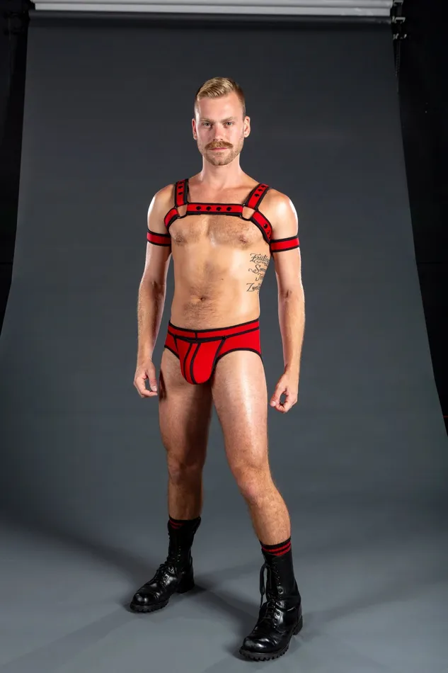 Mr S Leather Female Sex Toys Neo Bold Color Bulldog Harness