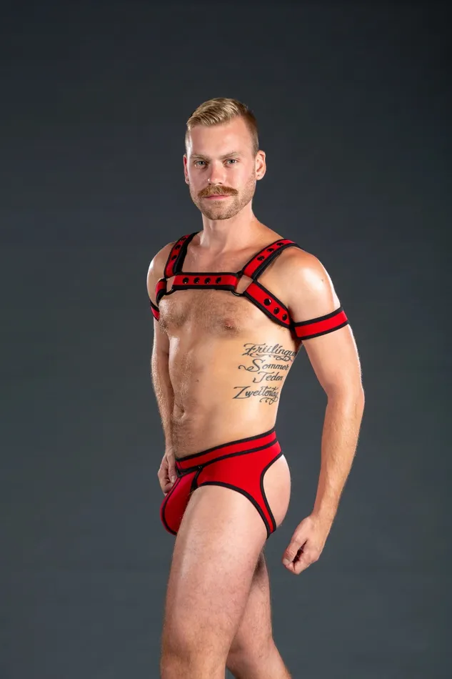 Mr S Leather Female Sex Toys Neo Bold Color Bulldog Harness