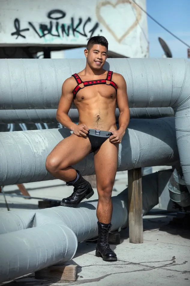 Mr S Leather Female Sex Toys Neo Bold Color Bulldog Harness