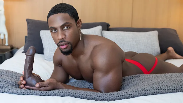 Female Sex Toys Fleshlight DeAngelo Jackson Dildo Pack with Fleshlube Slide